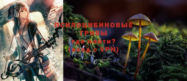 эйфоретик Алексин
