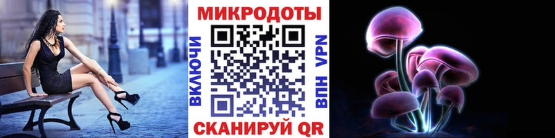 Псилоцибиновые грибы ЛСД  Зеленоградск 
